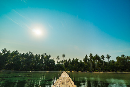 Wood bridge or pier on the beach and sea in paradise island around with coconut palm tree - Holiday...