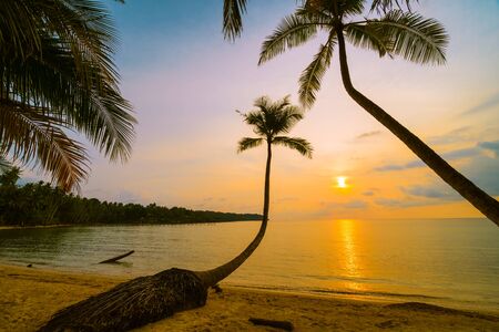 Beautiful paradise island with beach and sea around coconut palm tree at sunset time - Holiday...