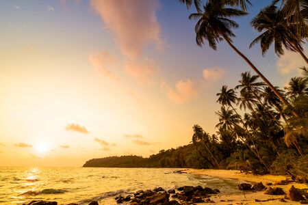 Beautiful paradise island with beach and sea around coconut palm tree at sunset time - Holiday Vacation conceptの写真素材