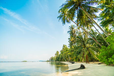 Beautiful paradise island with beach and sea around coconut palm tree at sunset time - Holiday Vacation conceptの写真素材
