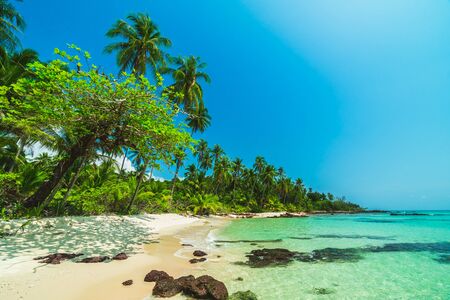 Beautiful paradise island with sea and beach landscape around coconut palm tree - Holiday vacation conceptの写真素材