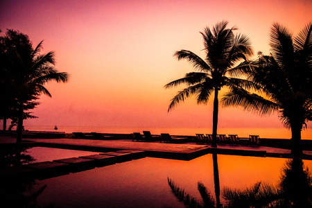 Silhouette coconut palm tree around outdoor swimming pool in hotel and resort at Sunrise timeの写真素材