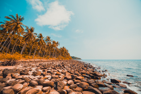 Beautiful nature tropical beach and sea with coconut palm tree on paradise island for travel vacationの写真素材