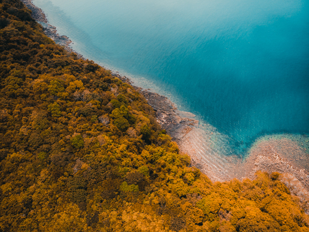 Beautiful nature tropical beach and sea with kayak boat and coconut palm tree on paradise island for travel vacationの写真素材