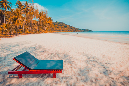 Beautiful nature tropical beach and sea with chair and coconut palm tree on paradise island for...
