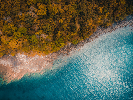 Beautiful nature tropical beach and sea with kayak boat and coconut palm tree on paradise island for travel vacationの写真素材