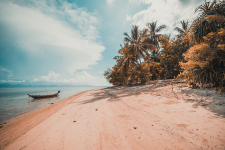 Beautiful tropical beach and sea with coconut palm tree in paradise islandの写真素材