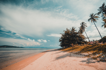 Beautiful tropical beach and sea with coconut palm tree in paradise islandの写真素材