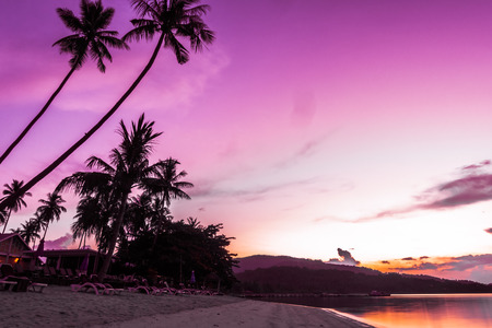 Beautiful outdoor view ea ocean and beach with tropical coconut palm tree at sunrise time for...