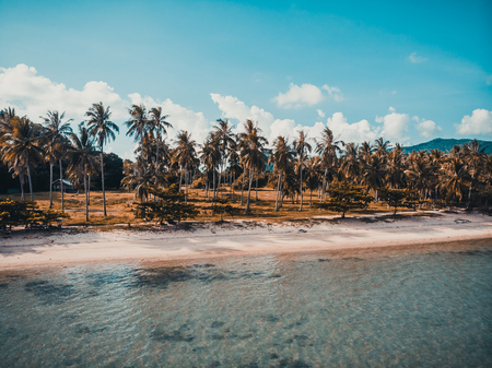 Aerial view of beautiful tropical beach and sea with palm and other tree in koh samui island for...