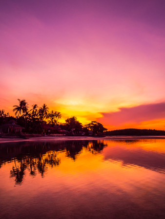 Beautiful tropical beach sea and ocean with coconut palm tree at sunrise time for travel and vacationの写真素材