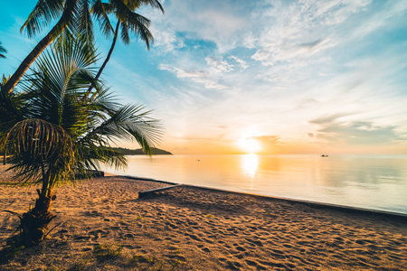 At sunset time on the tropical paradise island beach and sea with coconut palm tree for holiday and...
