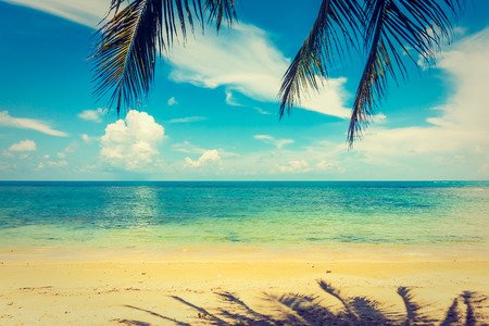 Beautiful outdoor tropical beach and sea in paradise island with coconut palm tree for holiday travel and vacationの写真素材