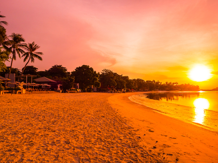 Beautiful tropical beach sea and ocean with coconut palm tree at sunrise time for travel and vacationの写真素材