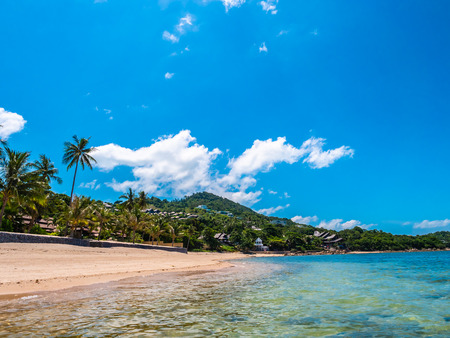 Beautiful tropical beach and sea with coconut palm tree for travel and vacation