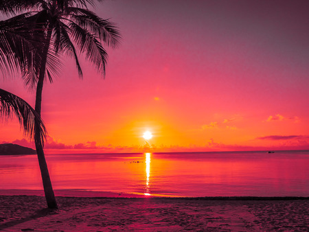 Beautiful tropical beach sea and ocean with coconut palm tree at sunrise time for travel and vacationの写真素材