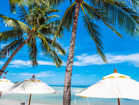 Beautiful tropical beach and sea with coconut palm tree for travel and vacationの写真素材