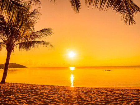 Beautiful tropical beach sea and ocean with coconut palm tree at sunrise time for travel and vacationの写真素材