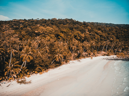 Beautiful Aerial view of beach and sea with coconut palm tree in paradise island for vacationの写真素材