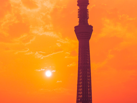 Beautiful cityscape with tokyo sky tree around architecture and building of tokyo city japan at sunrise timeのeditorial素材