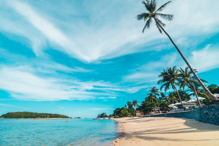 Beautiful tropical beach sea and sand with coconut palm tree on blue sky and white cloud for travel...