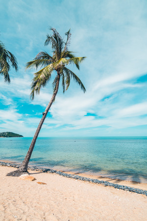 Beautiful tropical beach sea and sand with coconut palm tree on blue sky and white cloud for travel and vacationの写真素材
