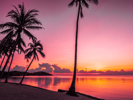 Beautiful tropical beach sea and ocean with coconut palm tree at sunrise time for travel and...
