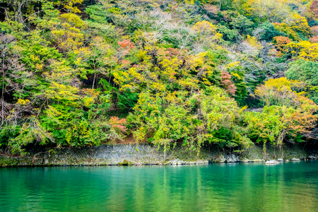 Beautiful Arashiyama river with maple leaf tree and boat around lake in Autumn season Kyoto Japanの写真素材