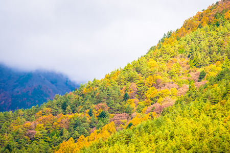 Beautiful landscape a lot of tree with colorful leaf around the mountain in autumn seasonの写真素材