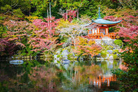 Beautiful Daigoji temple with colorful tree and leaf in autumn season Kyoto Japanのeditorial素材