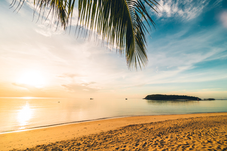 At sunset time on the tropical paradise island beach and sea with coconut palm tree for holiday and vacationの写真素材