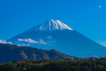 Beautiful landscape of mountain fuji with maple leaf tree around lake in Yamanashi Japanの写真素材