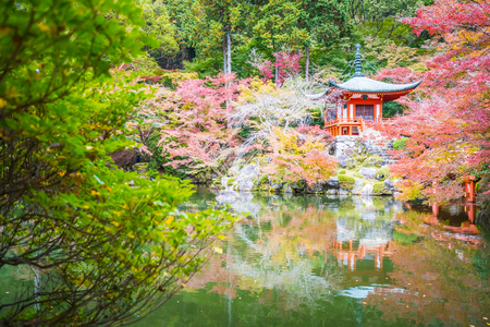 Beautiful Daigoji temple with colorful tree and leaf in autumn season Kyoto Japanのeditorial素材
