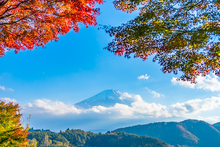 Beautiful landscape of mountain fuji with maple leaf tree around lake in Yamanashi Japanの写真素材