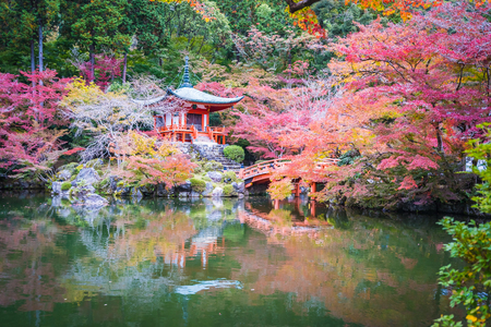 Beautiful Daigoji temple with colorful tree and leaf in autumn season Kyoto Japanのeditorial素材