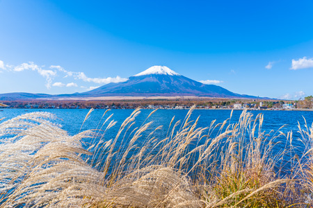Beautiful landscape of mountain fuji around yamanakako lake Japanの写真素材