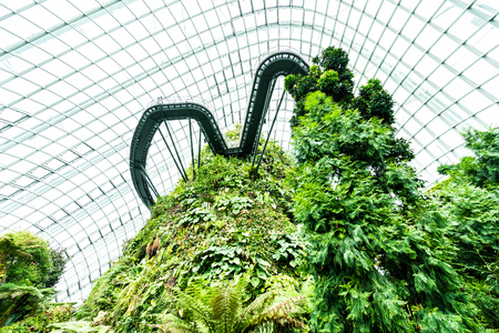 Beautiful architecture building flower dome garden and greenhouse forest landmark of singapore city for travelの写真素材