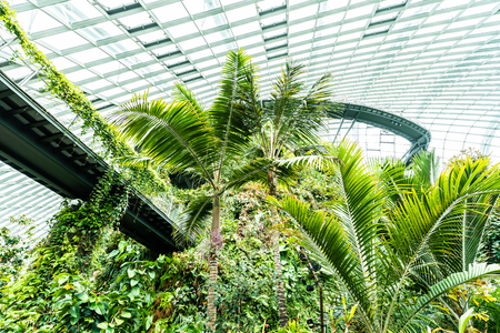 Beautiful architecture building flower dome garden and greenhouse forest landmark of singapore city for travelのeditorial素材