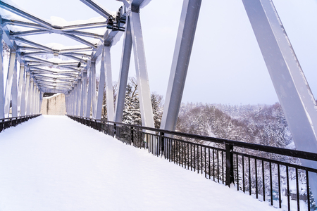 Beautiful outdoor nature landscape with shirahige waterfall and bridge in snow winter season Hokkaido Japanの写真素材