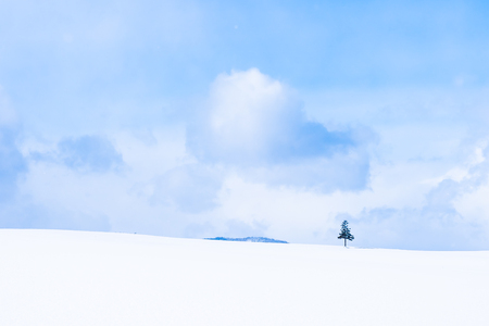 Beautiful outdoor nature landscape and christmas tree in winter snow season with copy spaceの写真素材