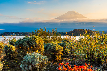 Beautiful landscape of mountain fuji with maple leaf tree around lake in autumn season at sunset time Yamanashi Japanの写真素材