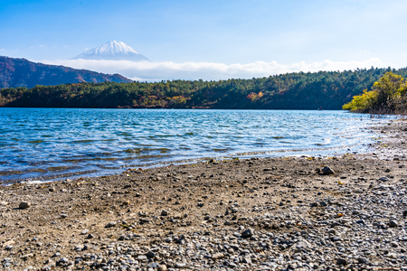 Beautiful landscape of mountain fuji with maple leaf tree around lake in autumn season Yamanashi Japanの写真素材