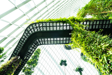 Beautiful architecture building flower dome garden and greenhouse forest landmark of singapore city for travelの写真素材