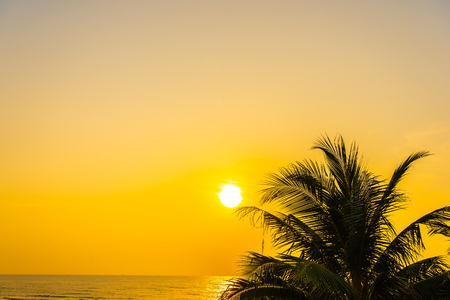 Beautiful outdoor nature with coconut leaf with sunrise or sunset time for relax travel and vacationの写真素材
