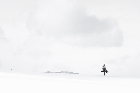 Beautiful outdoor nature landscape and christmas tree in winter snow season with copy spaceの写真素材