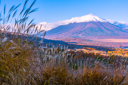 Beautiful landscape of fuji mountain in yamanakako or yamanaka lake in autumn season Japanの写真素材