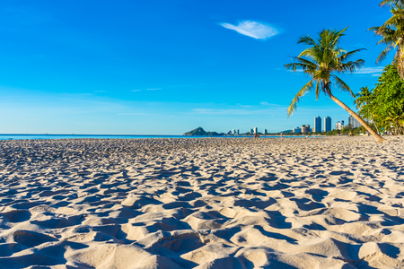 Beautiful tropical outdoor nature landscape of beach sea and ocean with coconut palm tree at Hua hin city Thailandの写真素材