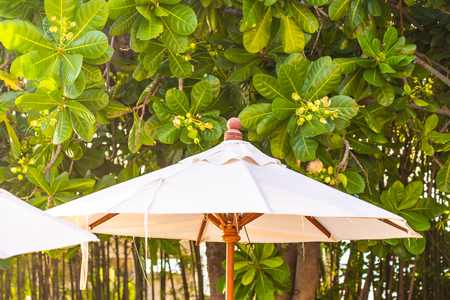 Beautiful outdoor nature landscape with sea ocean and coconut palm tree around swimming pool for leisure travel and vacationの写真素材