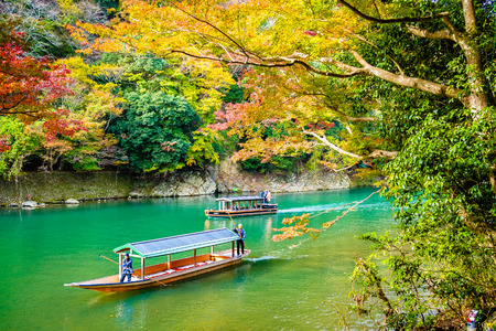 Beautiful Arashiyama river with maple leaf tree and boat around lake in Autumn season Kyoto Japanのeditorial素材