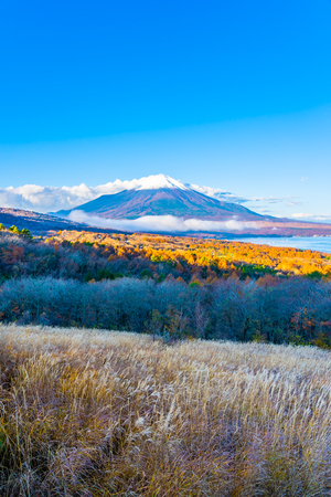 Beautiful landscape of fuji mountain in yamanakako or yamanaka lake in autumn season Japanの写真素材